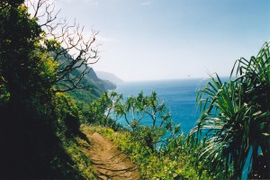 Our next view of Hawaii: Kawaii island