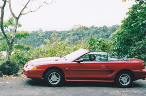 Our convertible four liter engine spoiling car for spoiled people...