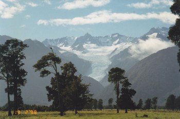 The Fox glacier, coming down Mt Cook, ends in a luxurious forest!
