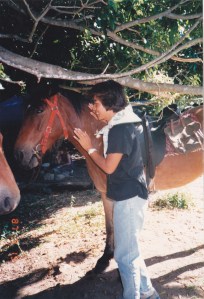 First encounter of the horse type...