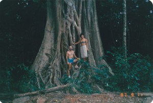 We're like ants on a tropical ficus tree!