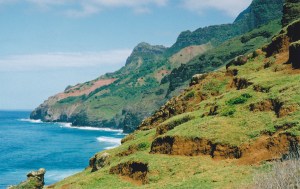 How many colors do you get there?