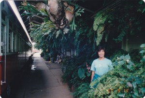 Kuranda station displays luxuriant plants!