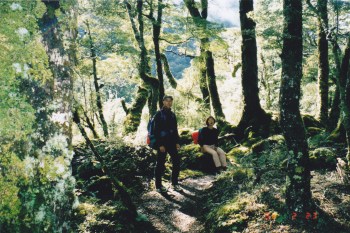 Though the Fiordland climate is far from being tropical, there's so much rain that rainforest is everywhere below the tree line!