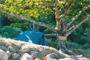 A nice spot where to camp...