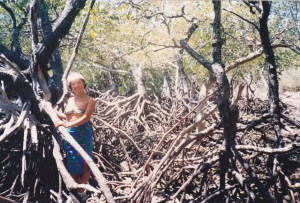 Touring the island seemed an easy job... until we faced the mangrove!